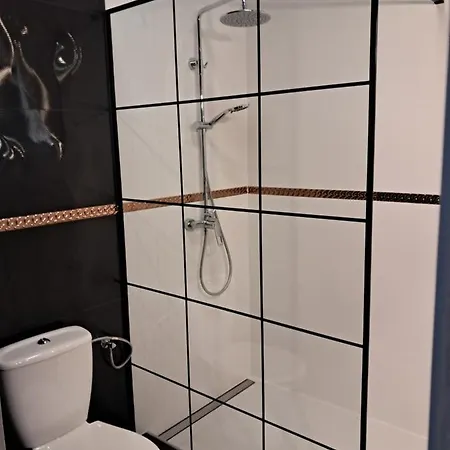 Bed and breakfast Osrodek Wczasowo-kolonijny Bazylak 3*